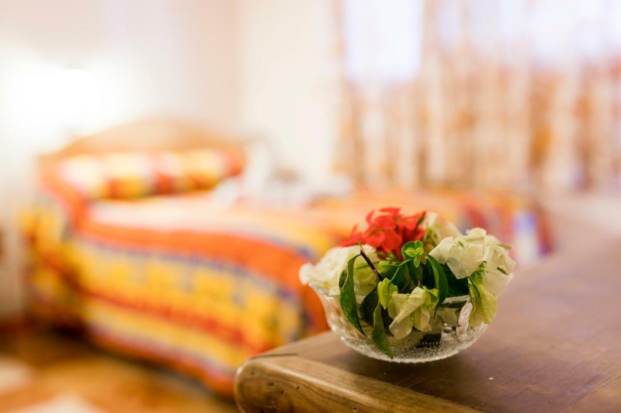 Arisa Otel Oaxaca Dış mekan fotoğraf