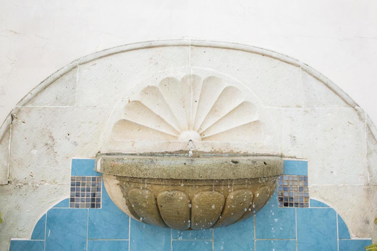 Arisa Otel Oaxaca Dış mekan fotoğraf